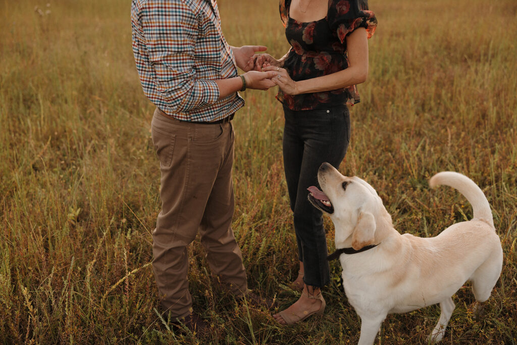 the engaged couple with their dog for proposal photos